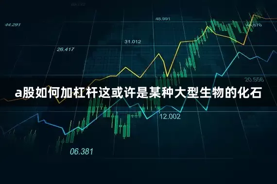 a股如何加杠杆这或许是某种大型生物的化石